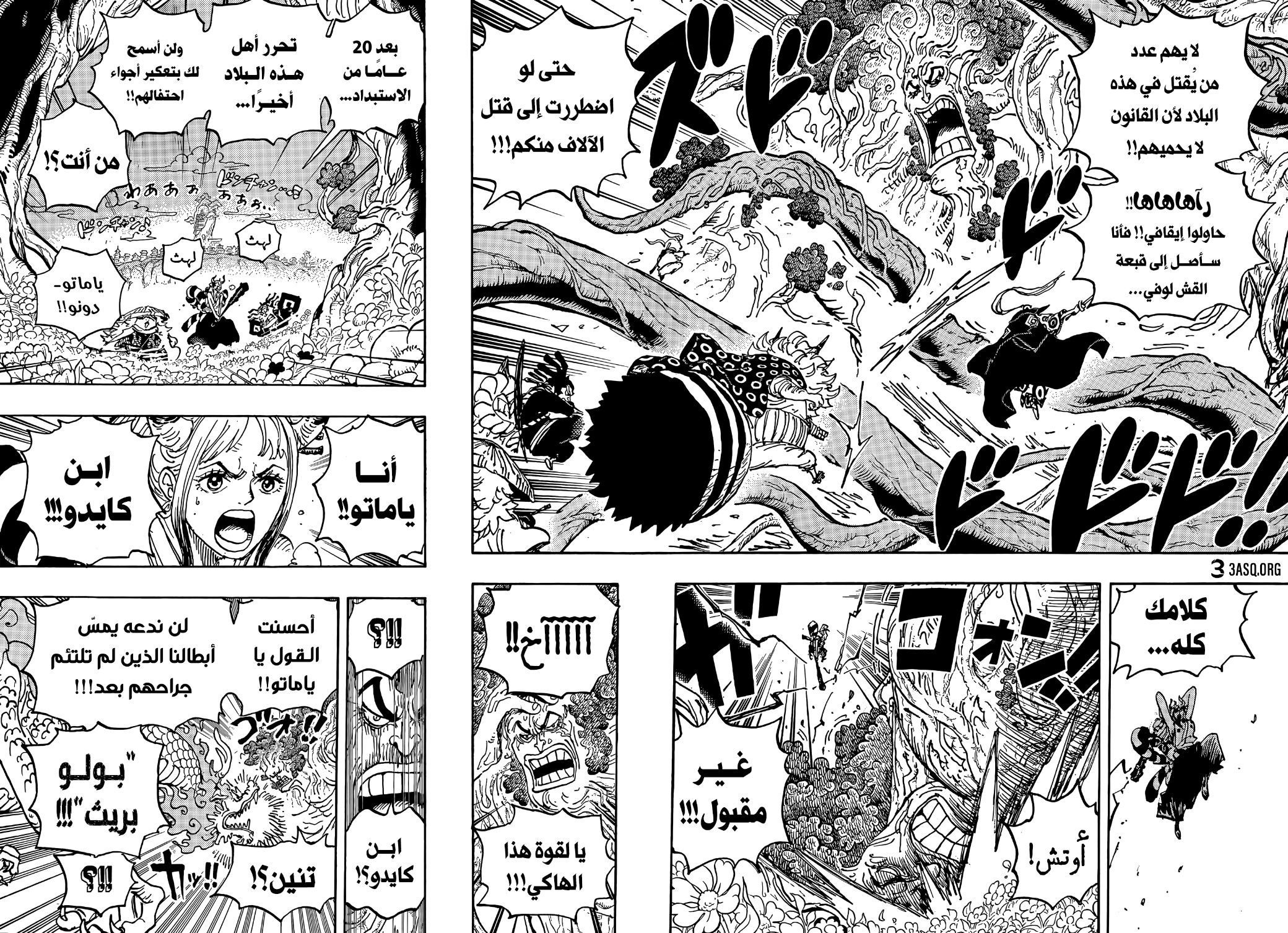 One Piece: Chapter 1054 - Page 5