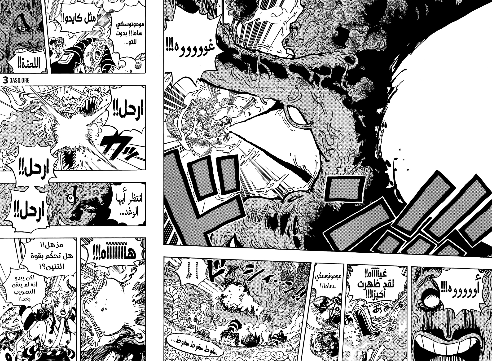 One Piece: Chapter 1055 - Page 14