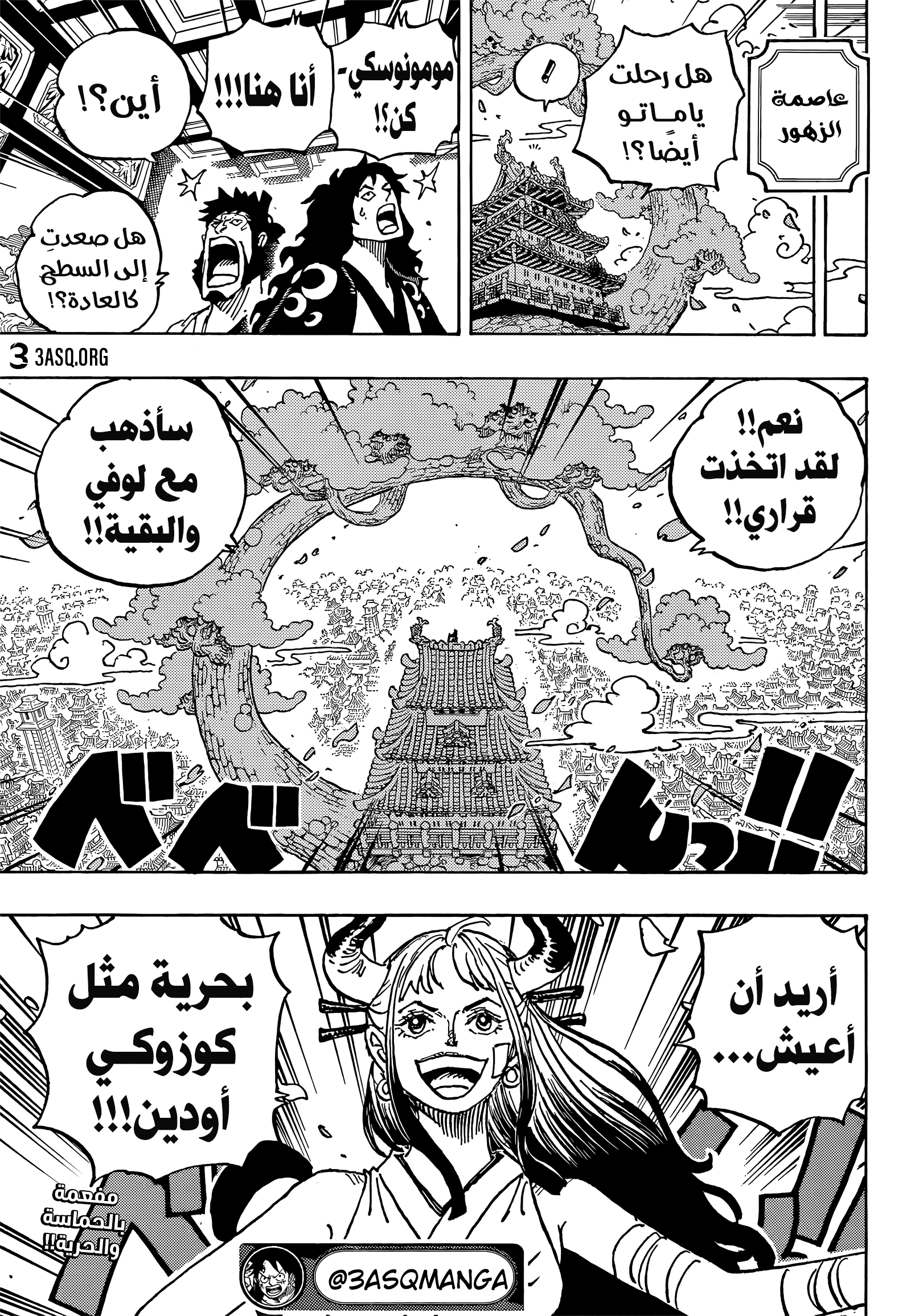 One Piece: Chapter 1056 - Page 17