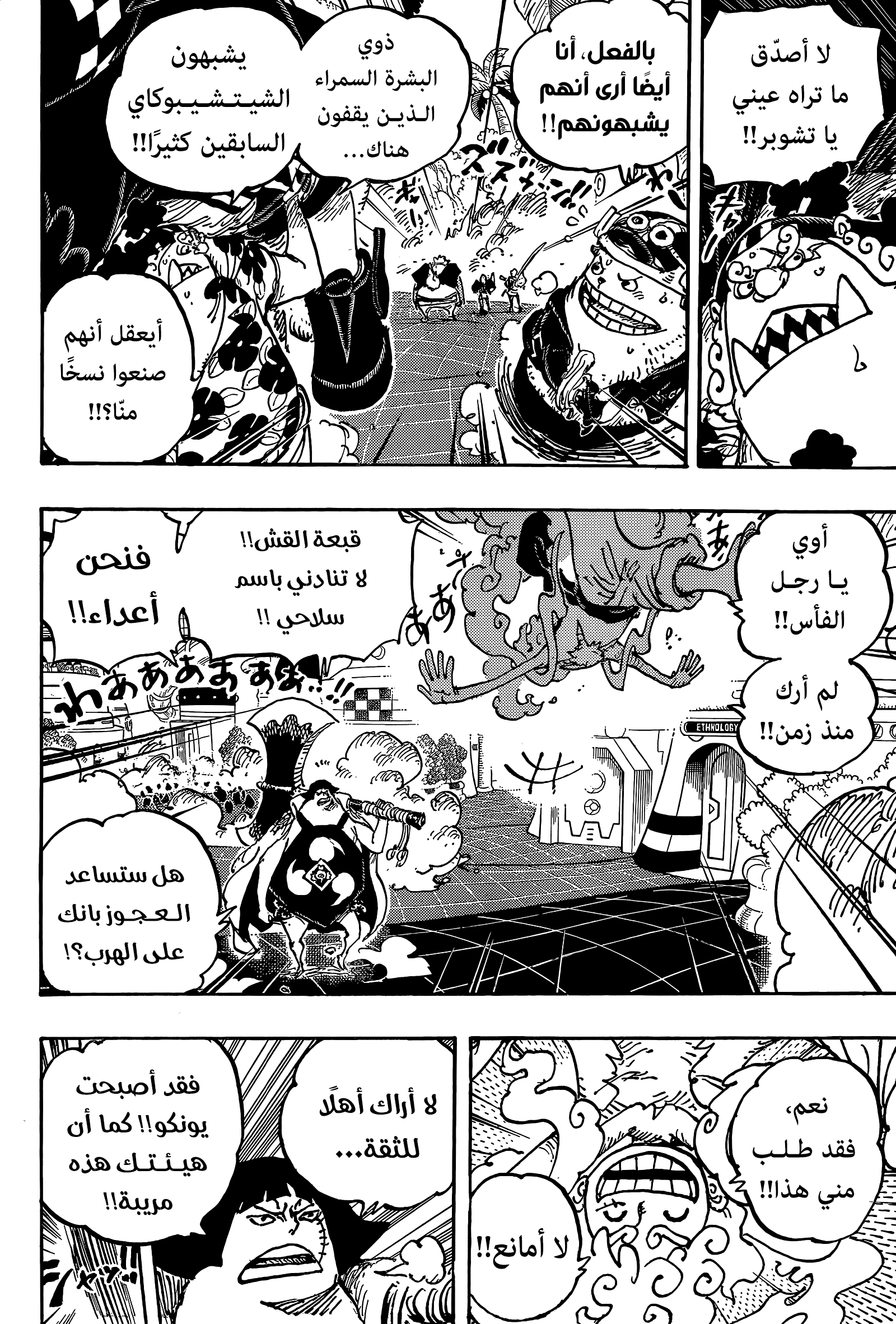 One Piece: Chapter 1069 - Page 13