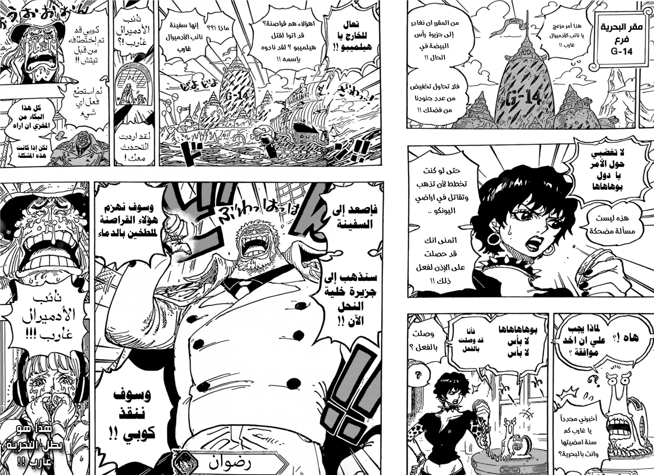 One Piece: Chapter 1071 - Page 14