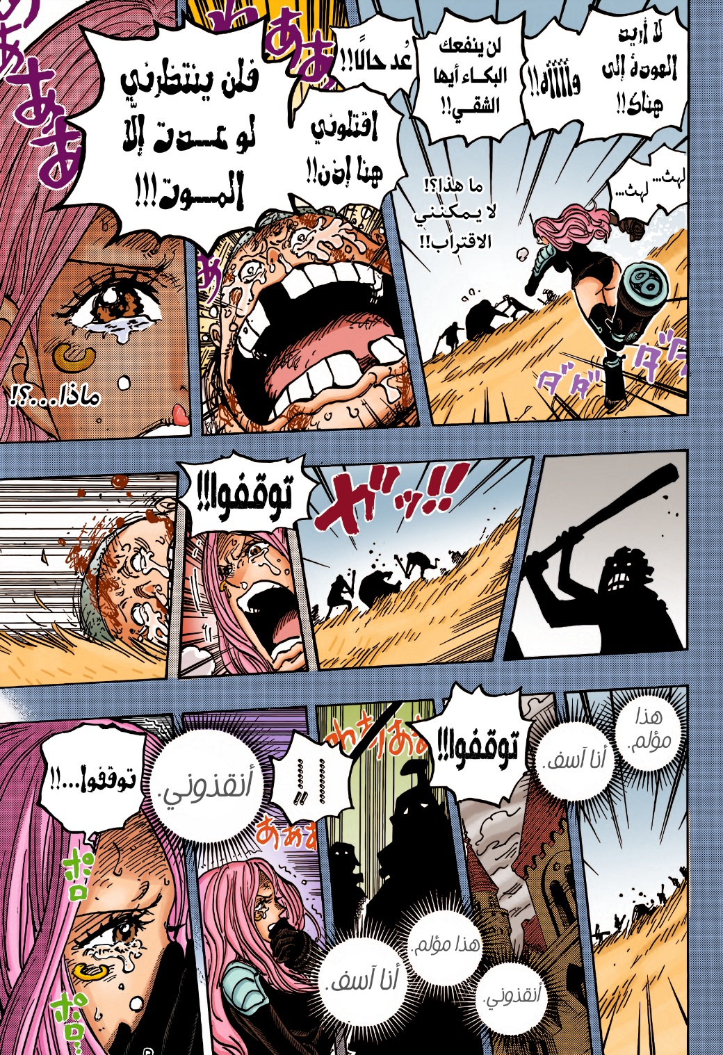One Piece: Chapter 1074 - Page 17