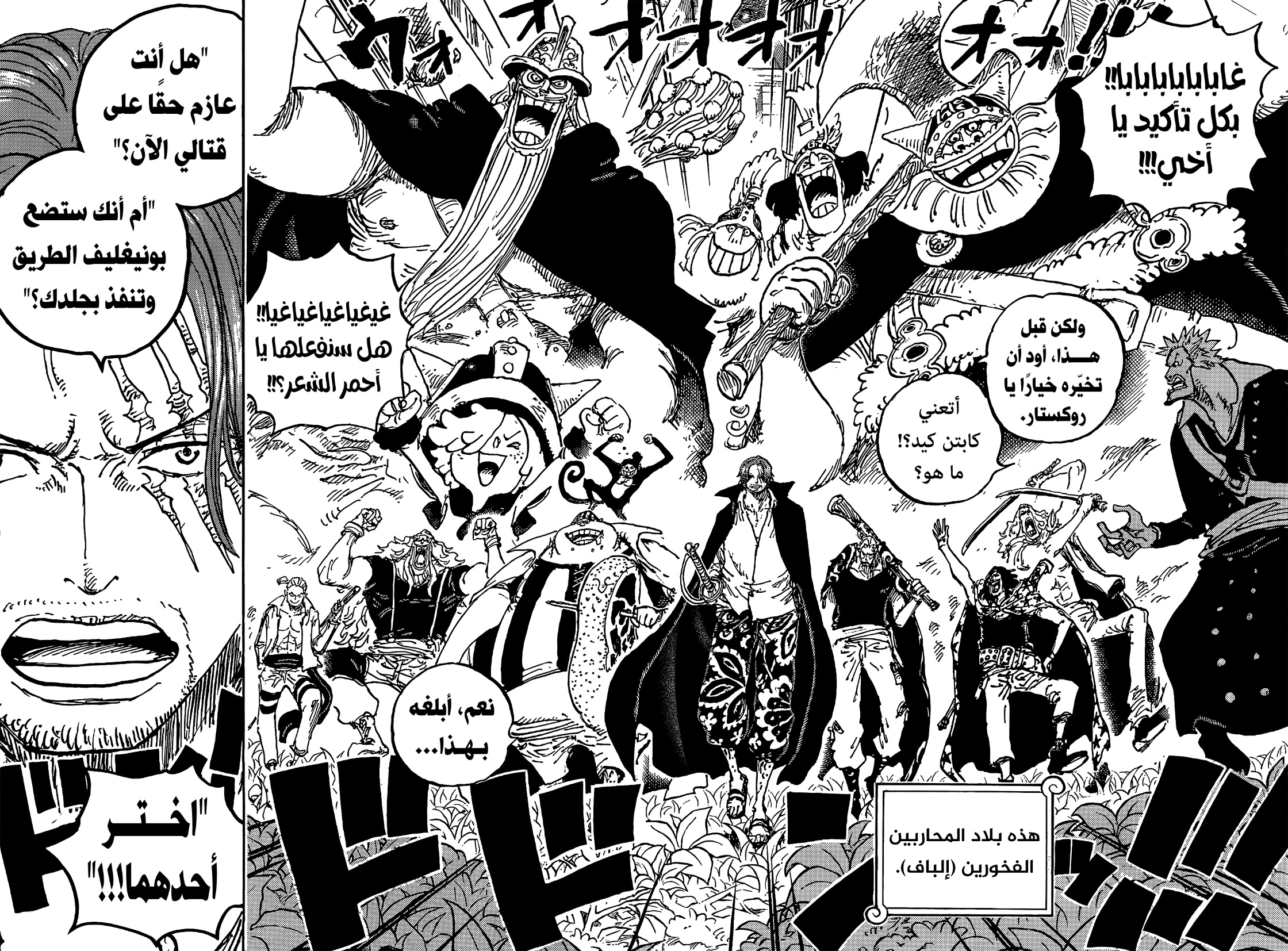 One Piece: Chapter 1076 - Page 12