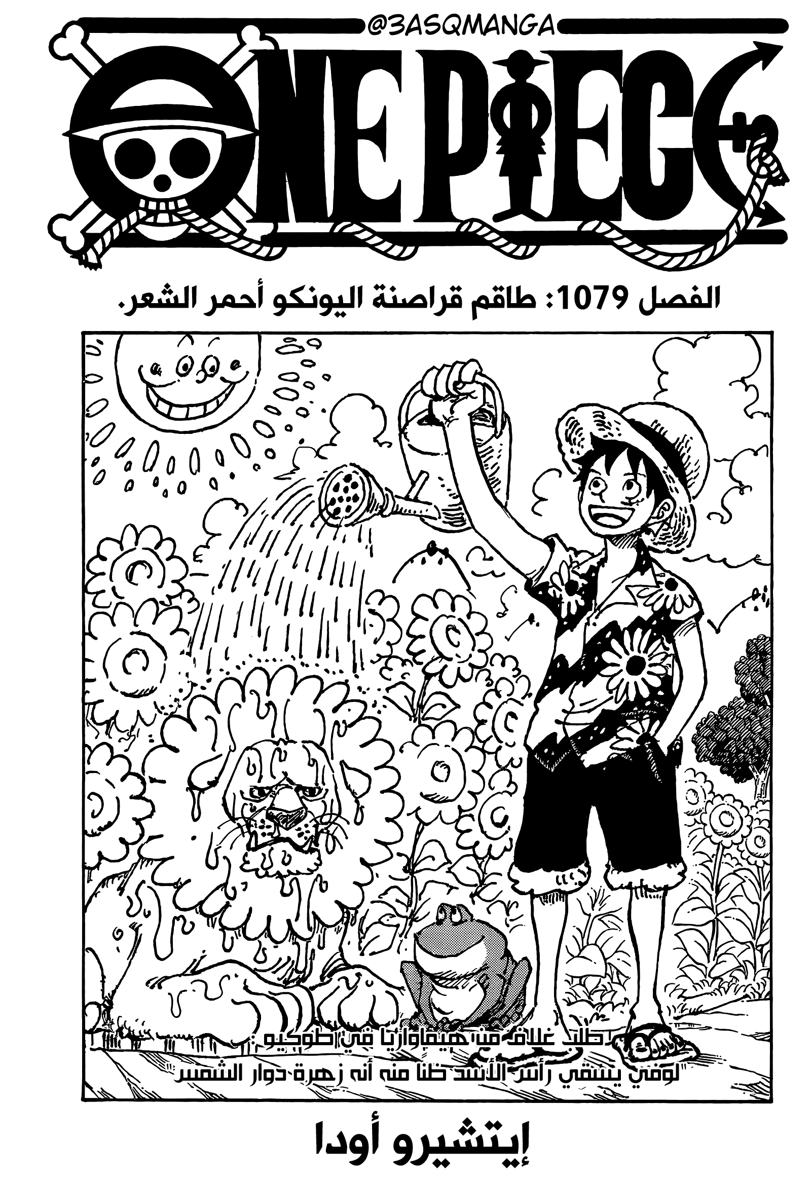 One Piece: Chapter 1079 - Page 1