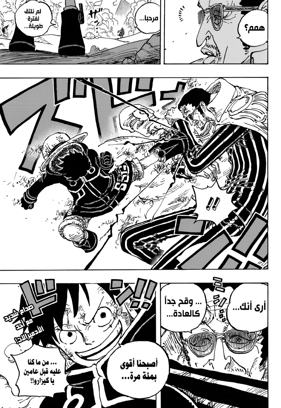 One Piece: Chapter 1091 - Page 17