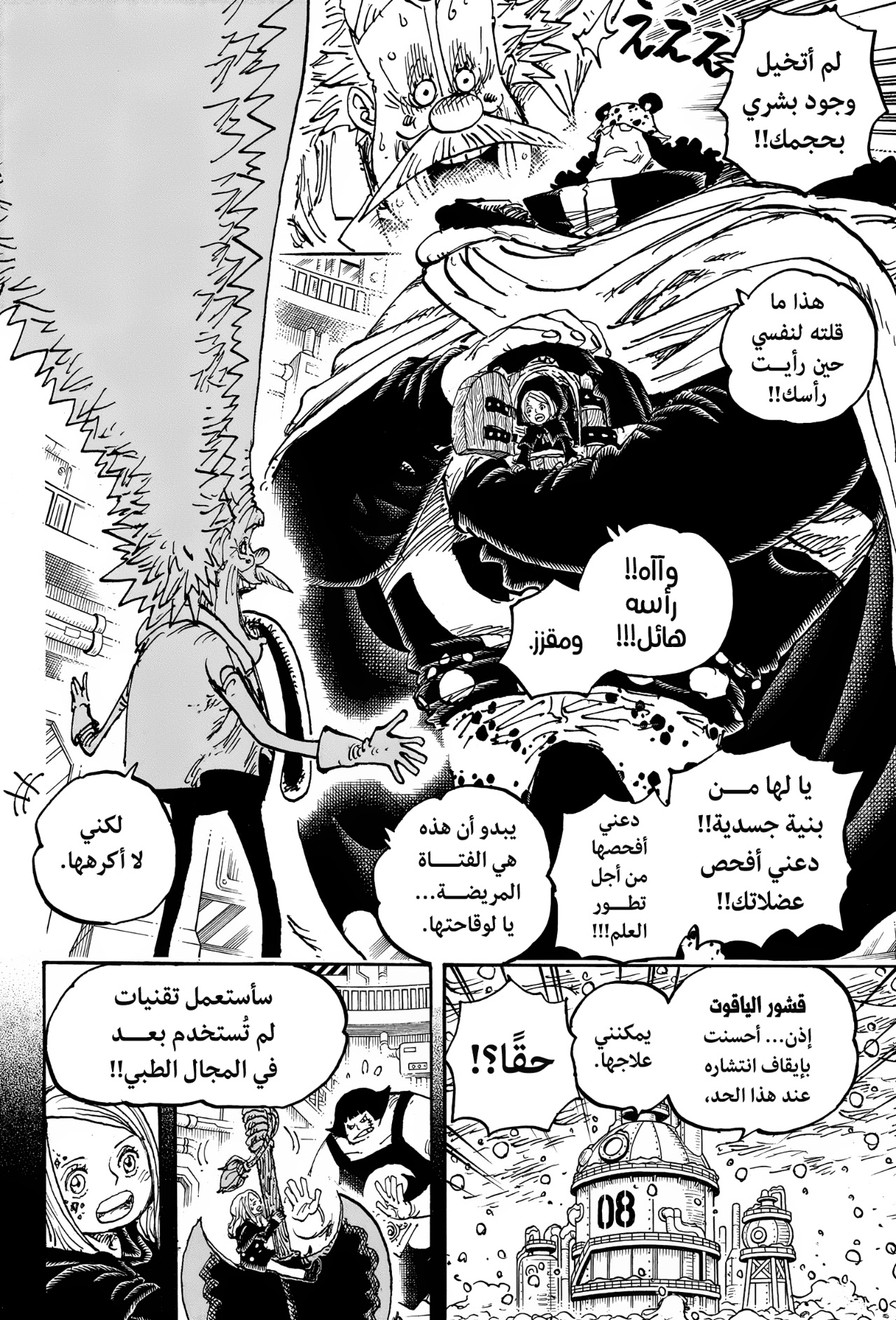One Piece: Chapter 1099 - Page 13