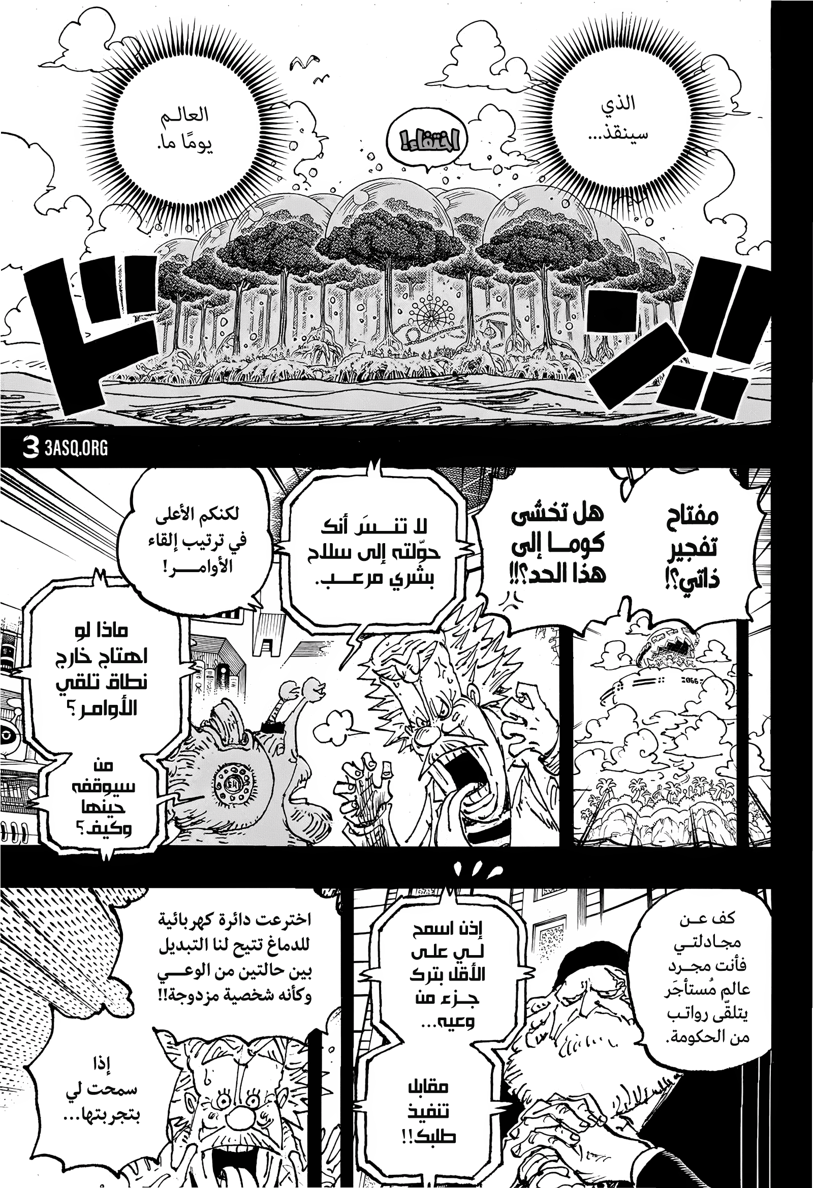 One Piece: Chapter 1102 - Page 11