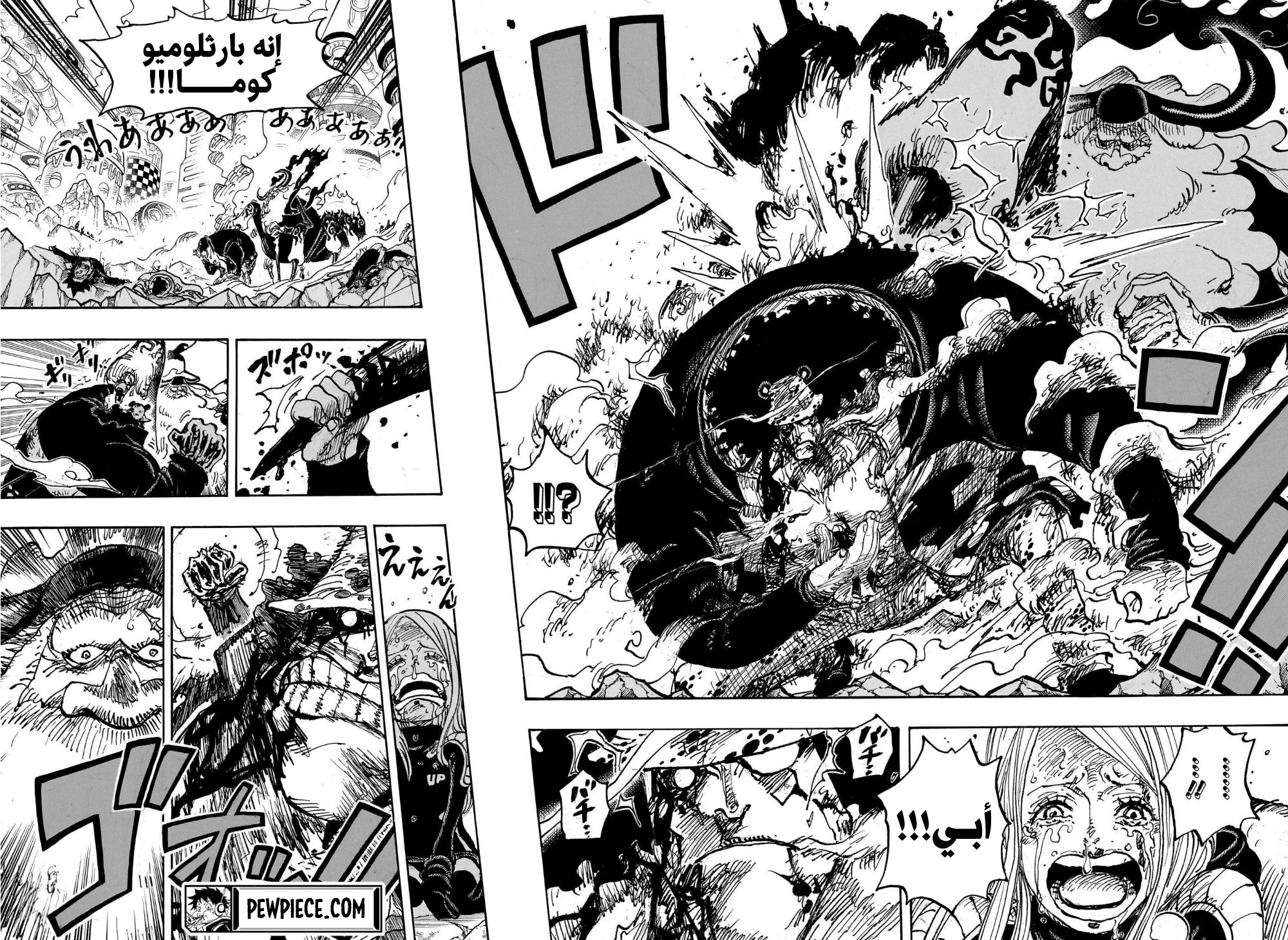 One Piece: Chapter 1103 - Page 14