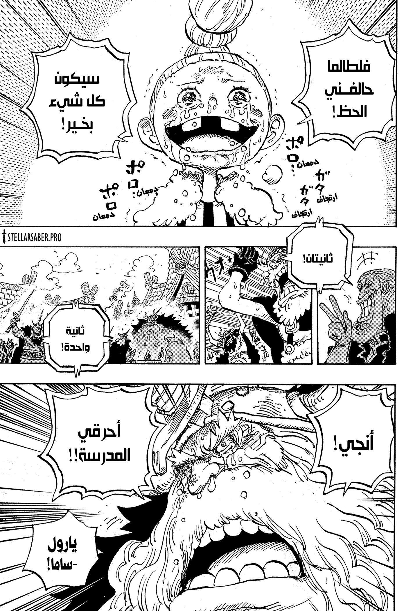 One Piece: Chapter 1148 - Page 14