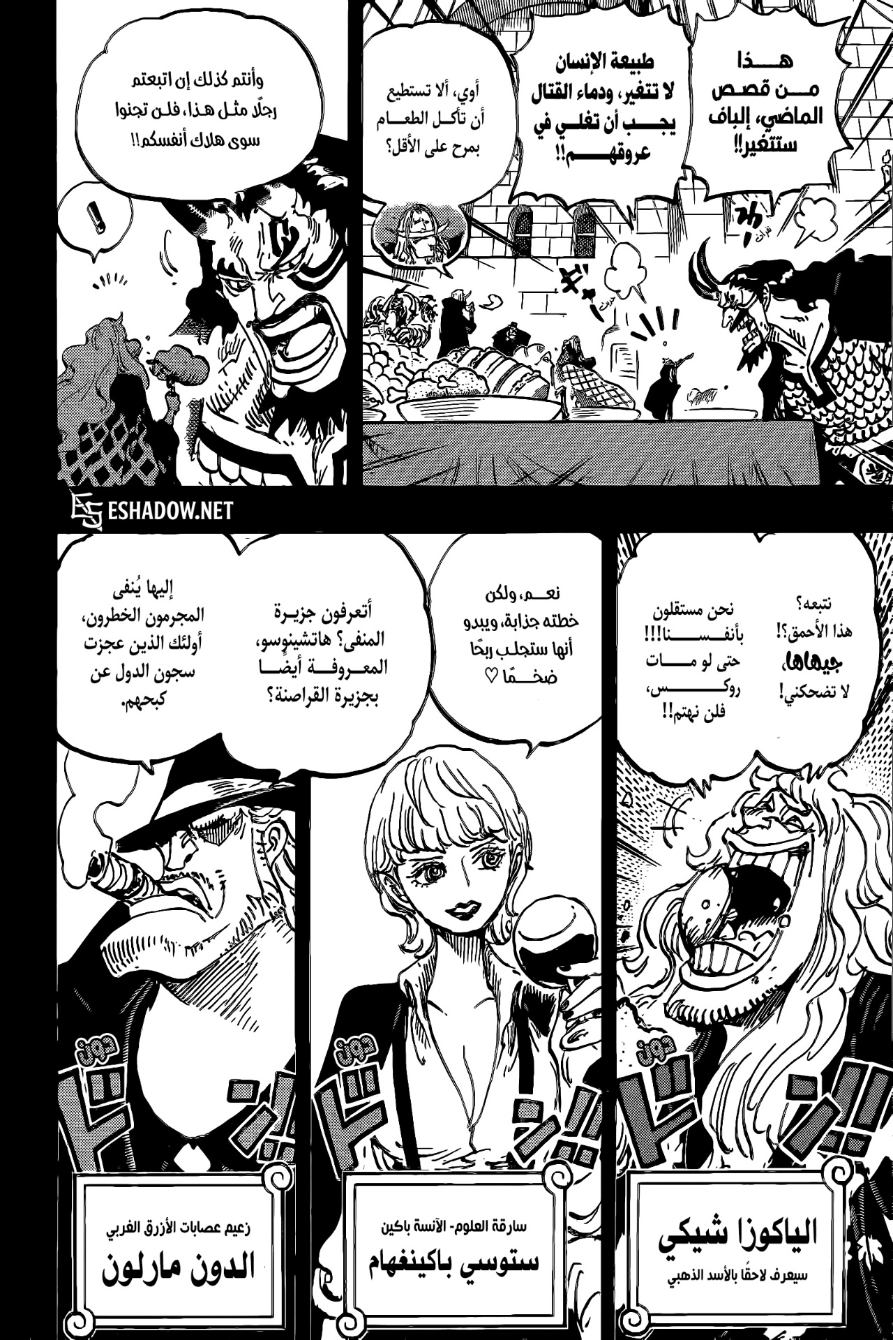 One Piece: Chapter 1155 - Page 11