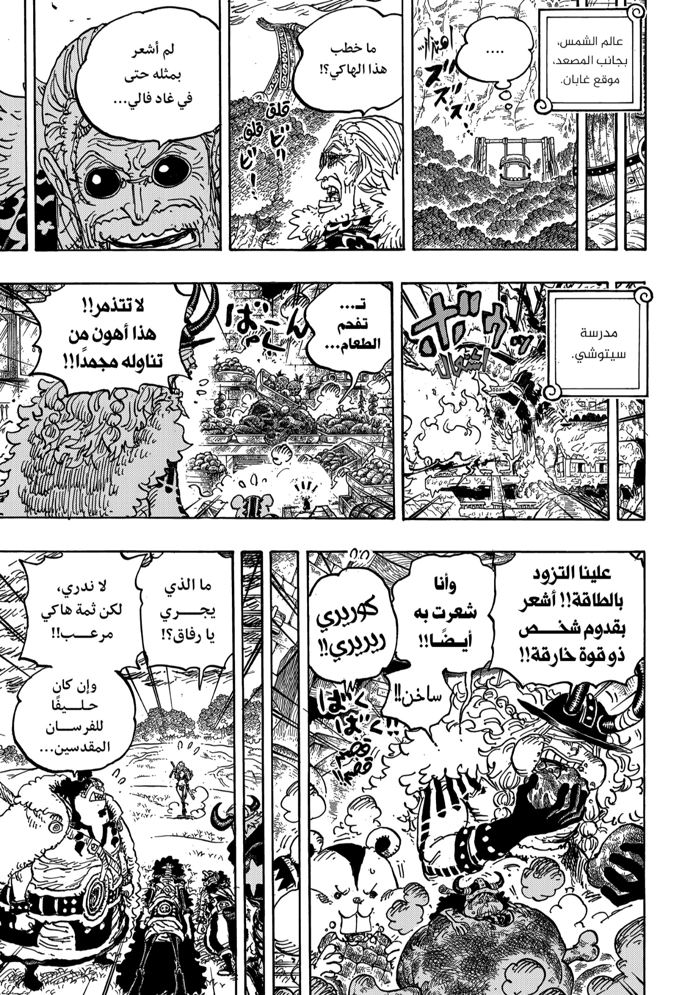 One Piece: Chapter 1180 - Page 12