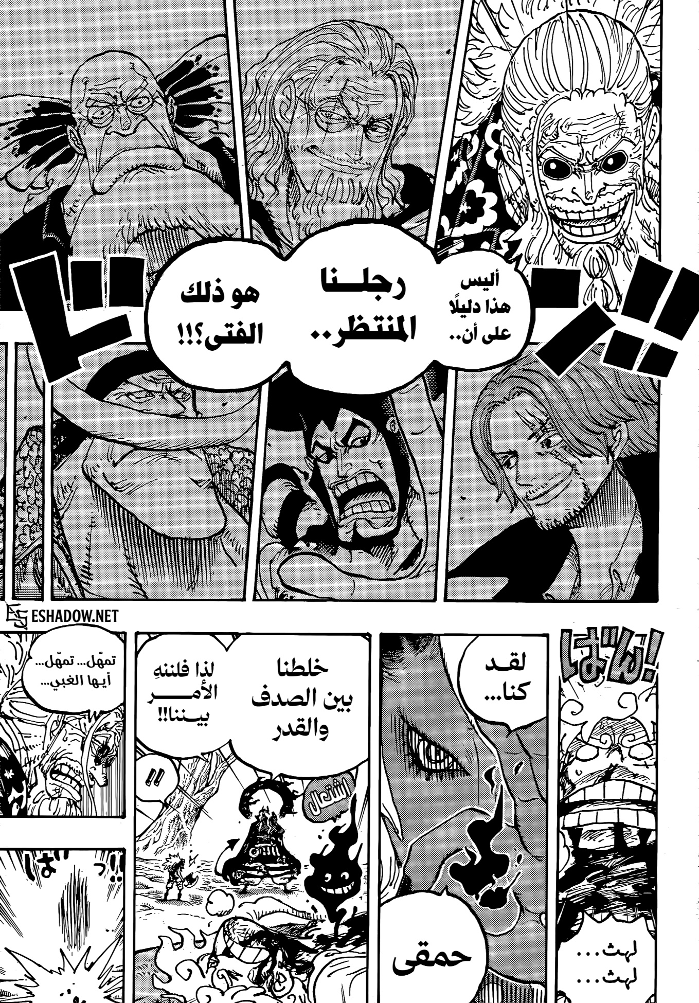 One Piece: Chapter 1190 - Page 11