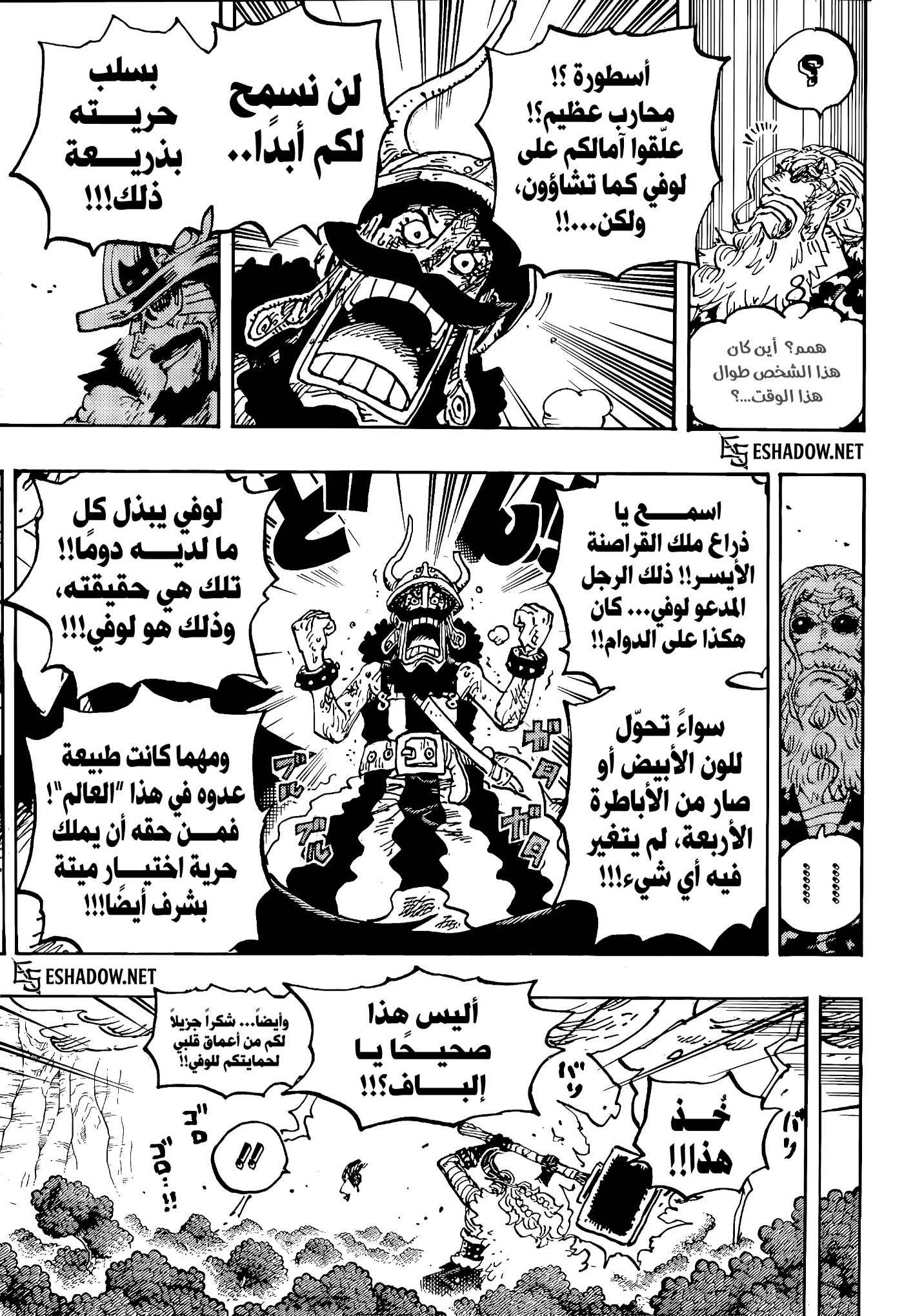 One Piece: Chapter 1192 - Page 10