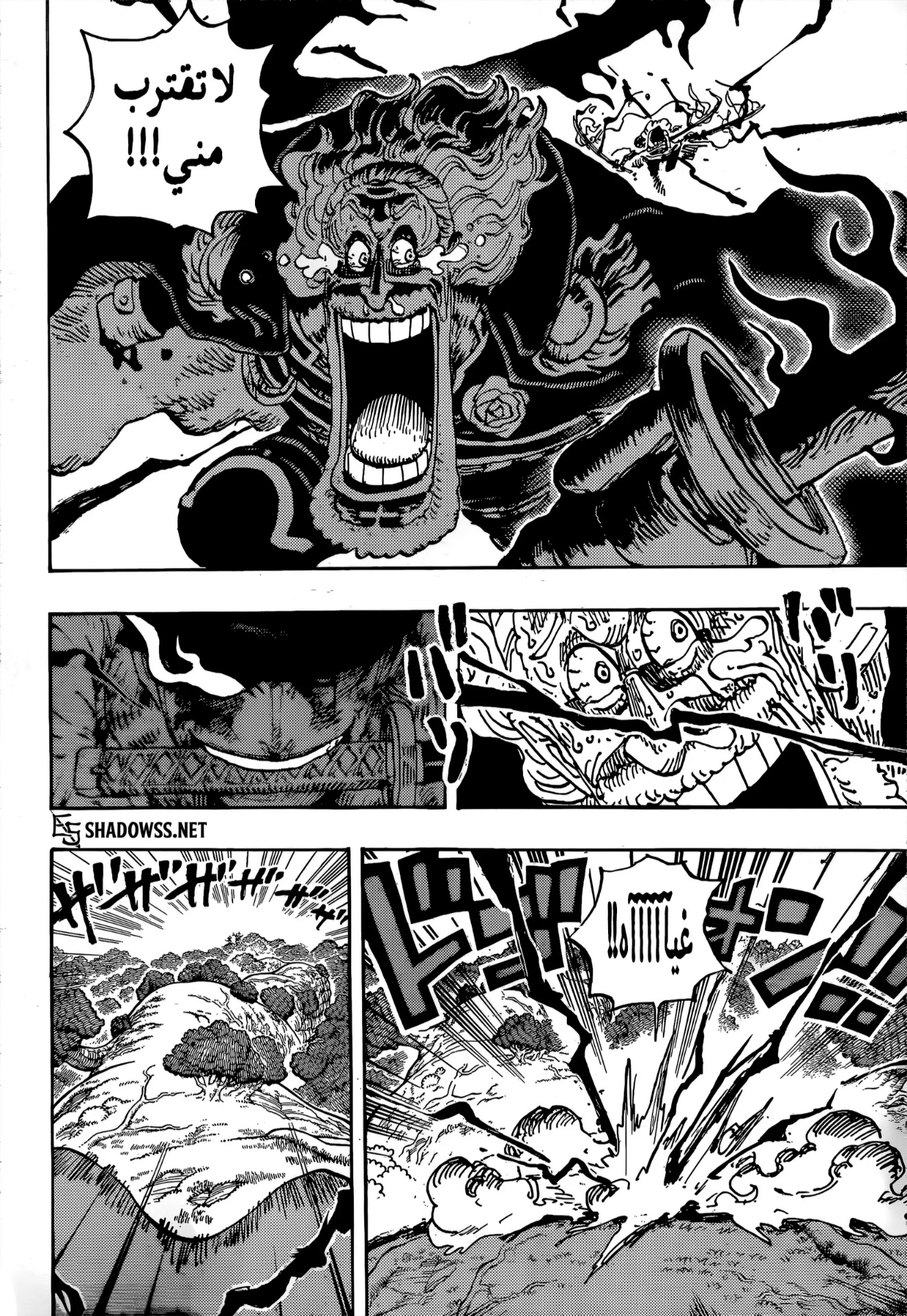 One Piece: Chapter 1195 - Page 4