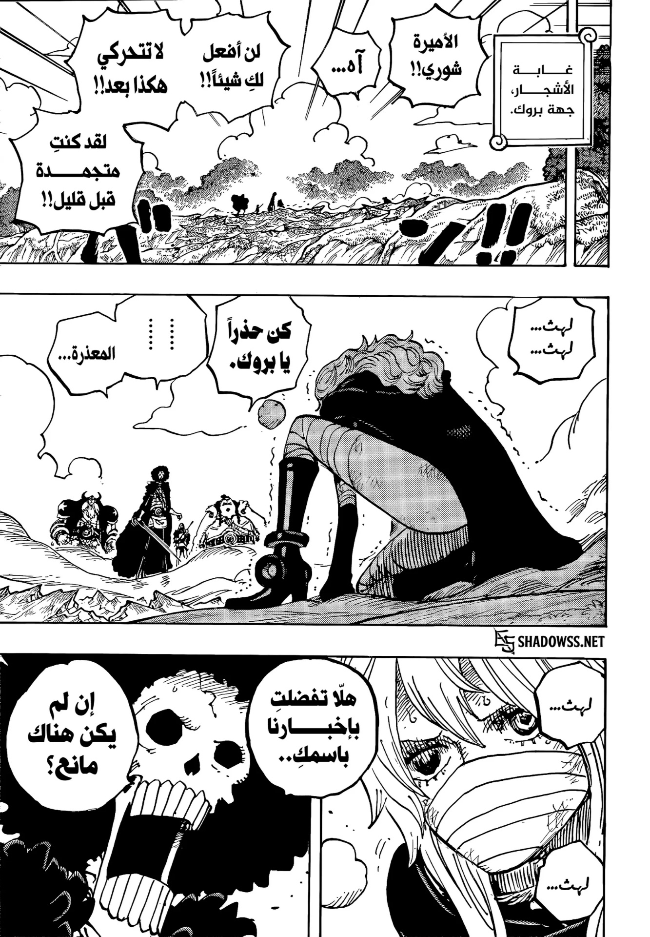 One Piece: Chapter 1195 - Page 5
