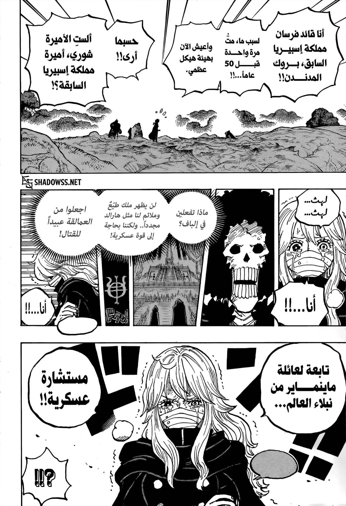 One Piece: Chapter 1195 - Page 8