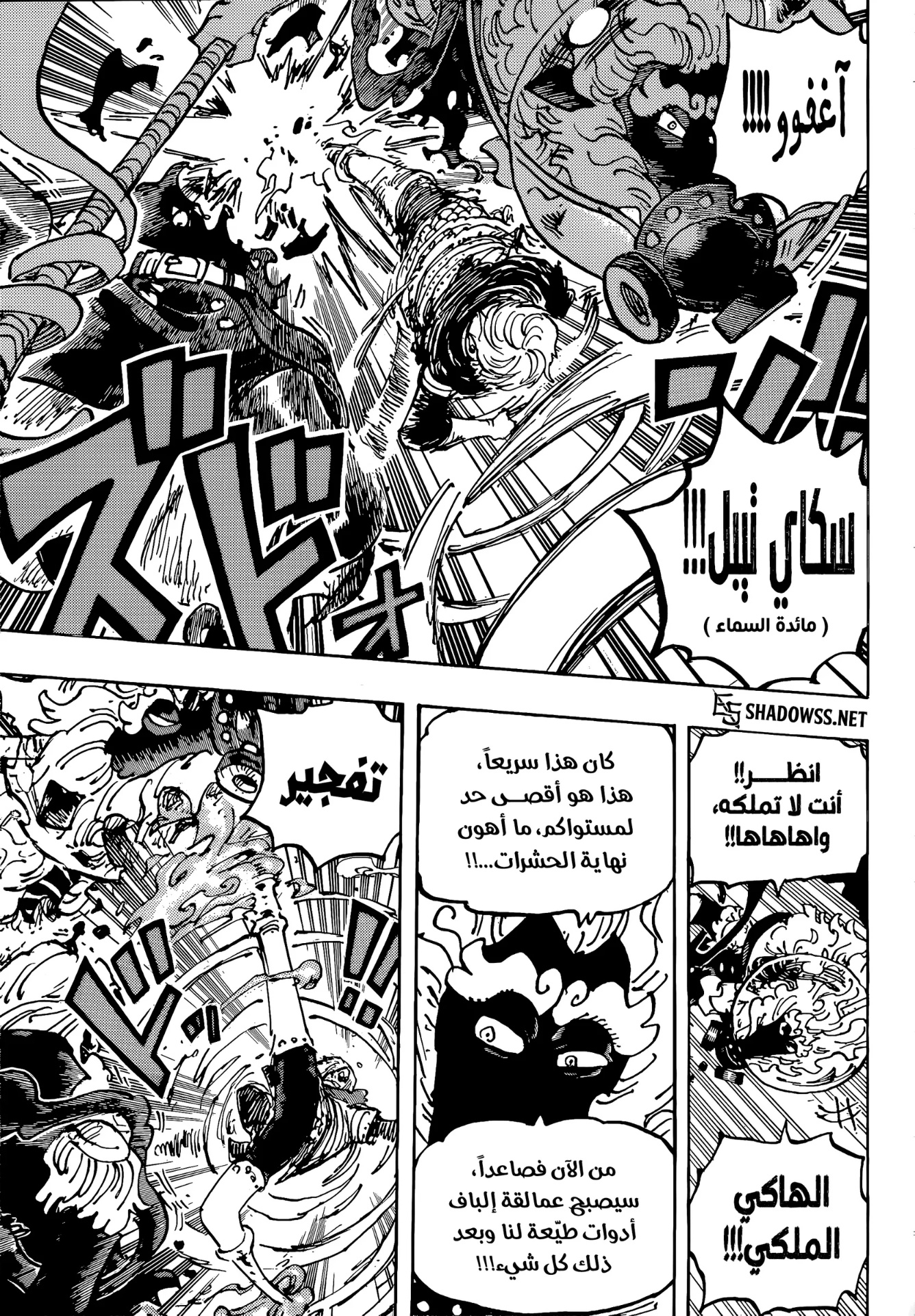 One Piece: Chapter 1195 - Page 13
