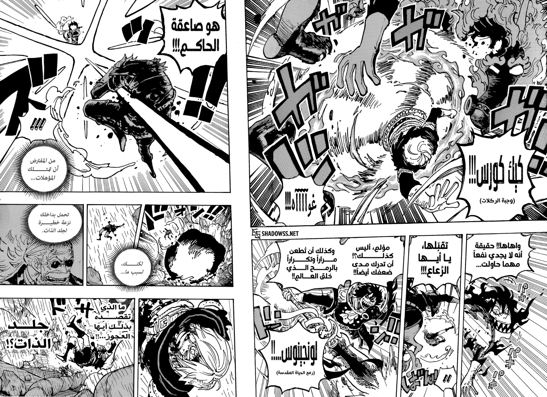 One Piece: Chapter 1195 - Page 14