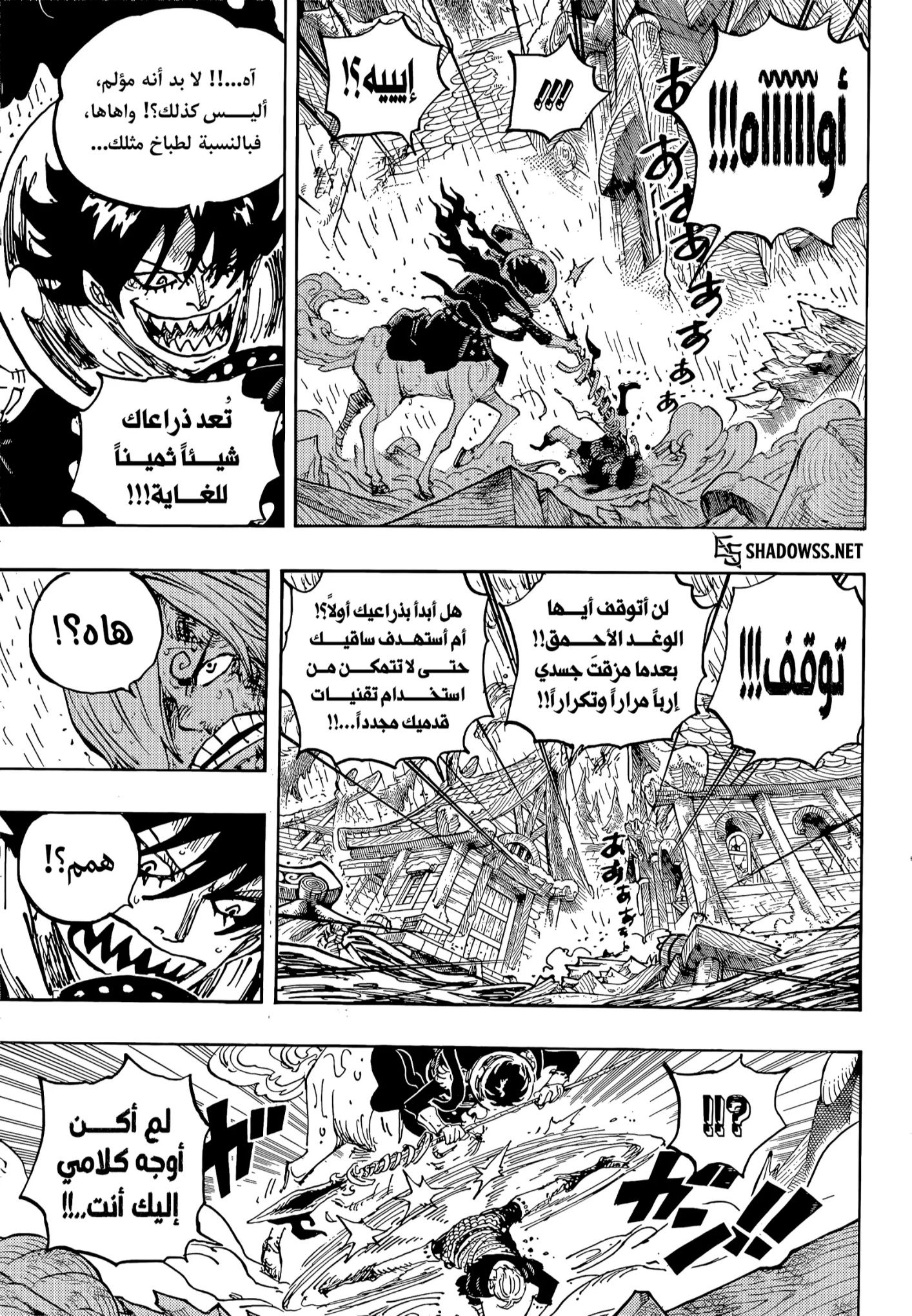 One Piece: Chapter 1196 - Page 3