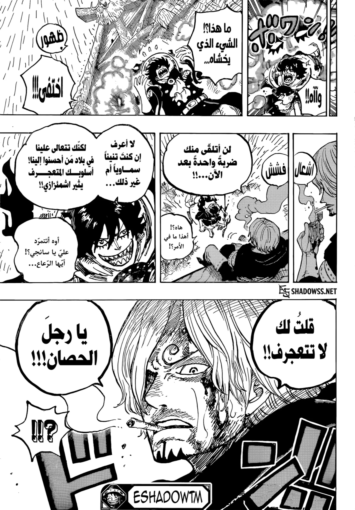 One Piece: Chapter 1196 - Page 16