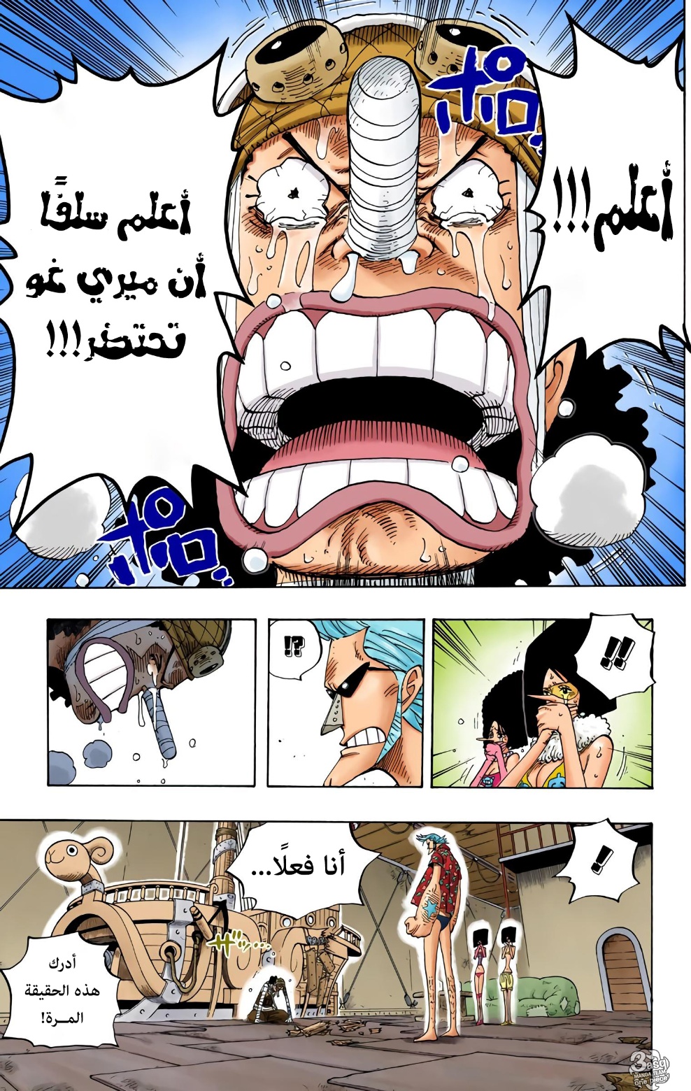 One Piece: Chapter 351 - Page 13