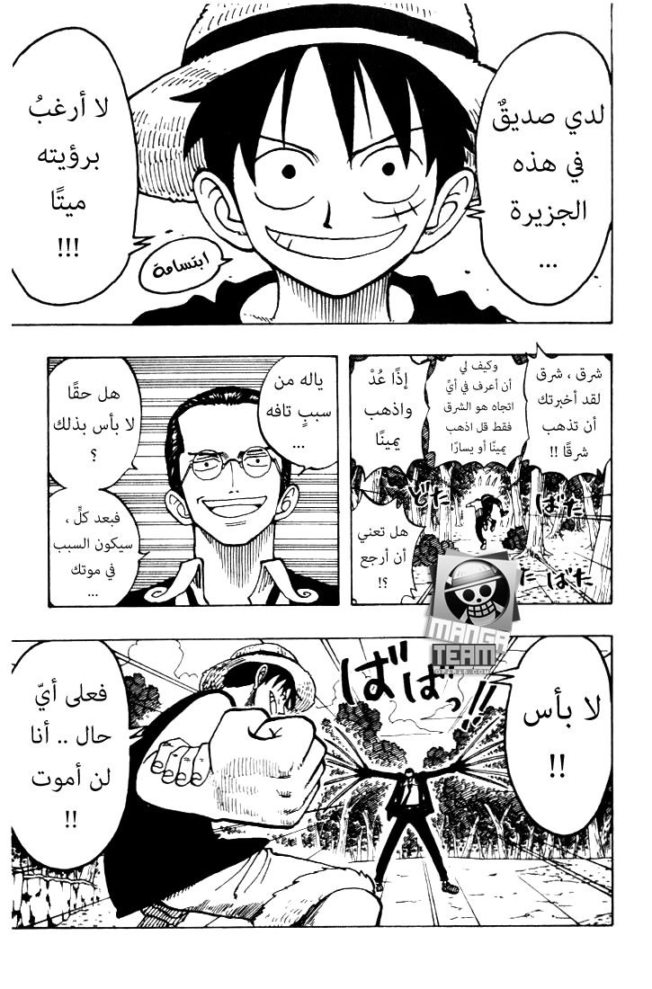 One Piece: Chapter 36 - Page 19