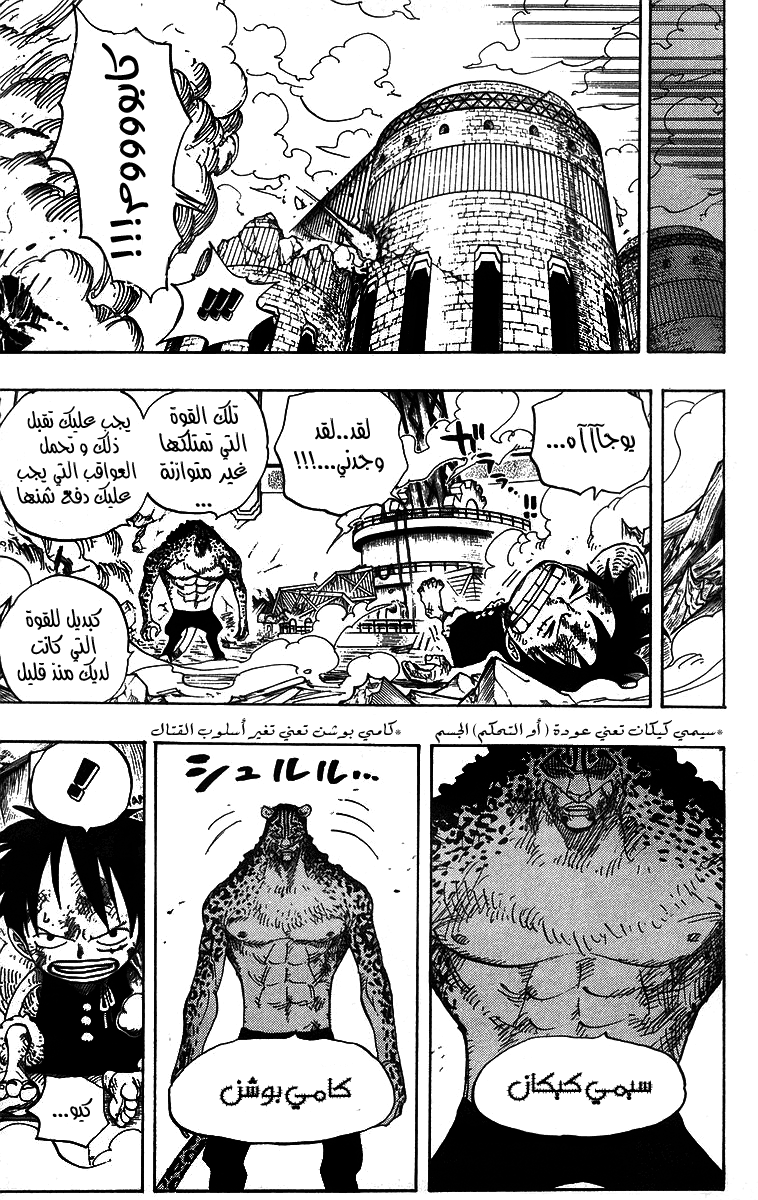 One Piece: Chapter 423 - Page 13
