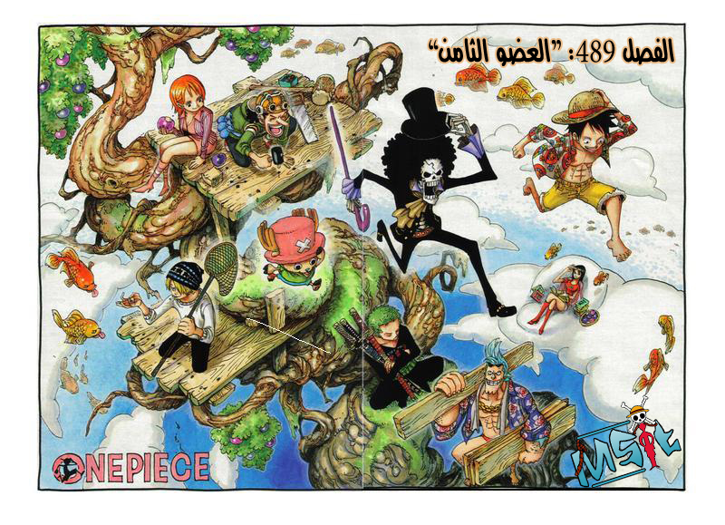 One Piece: Chapter 489 - Page 2