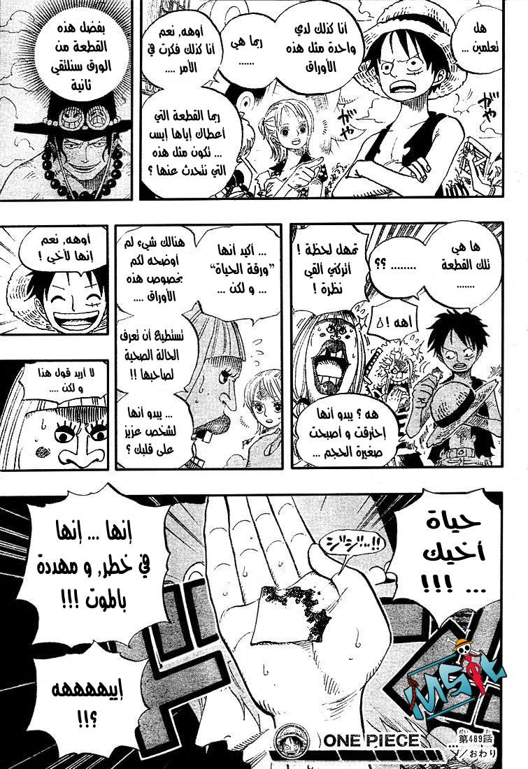 One Piece: Chapter 489 - Page 17