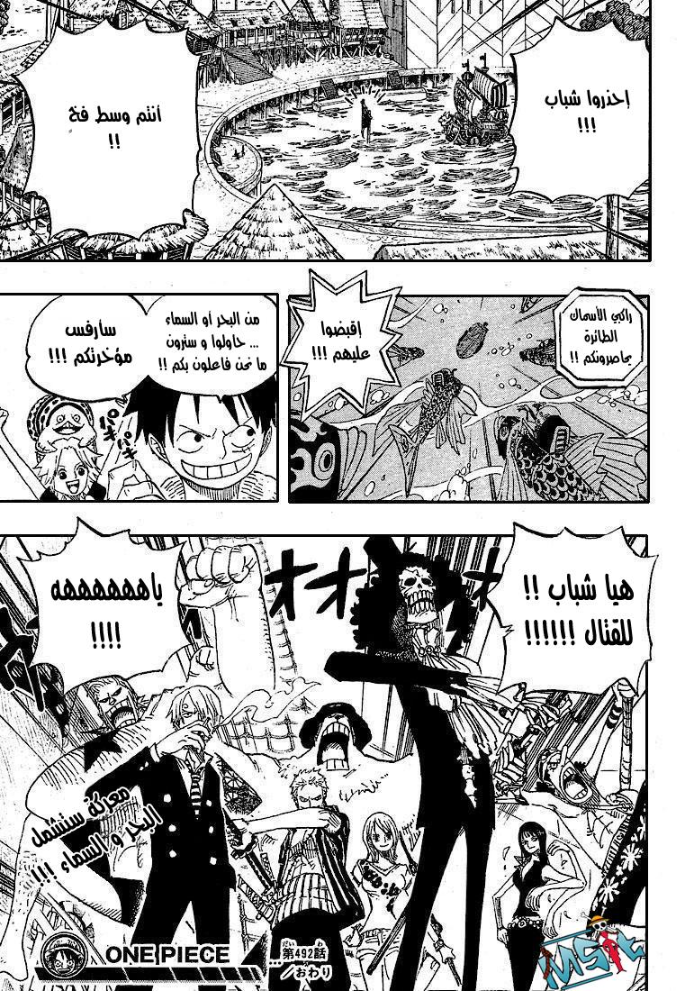 One Piece: Chapter 492 - Page 20