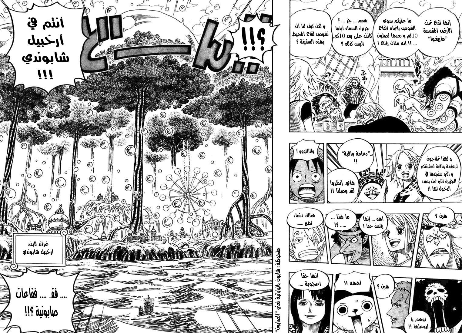 One Piece: Chapter 496 - Page 13