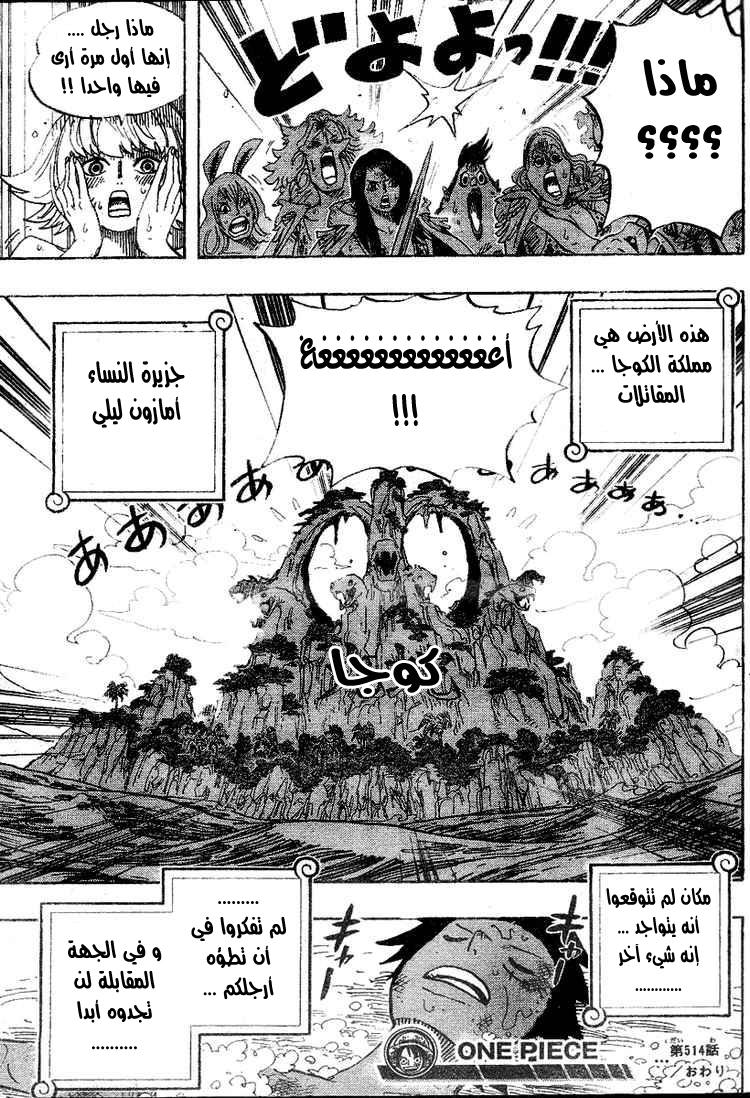 One Piece: Chapter 514 - Page 20