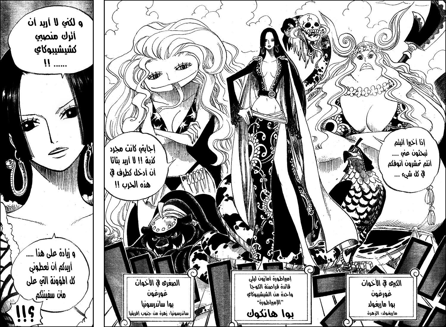 One Piece: Chapter 516 - Page 12