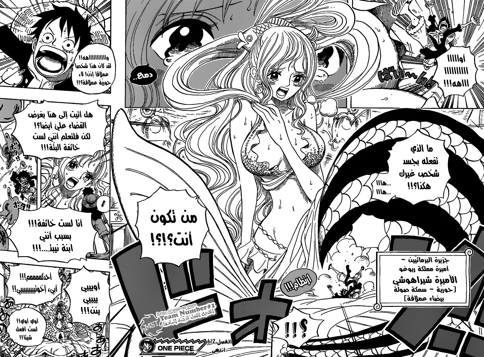 One Piece: Chapter 612 - Page 18