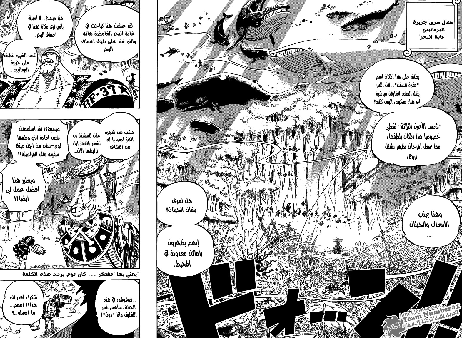 One Piece: Chapter 616 - Page 10