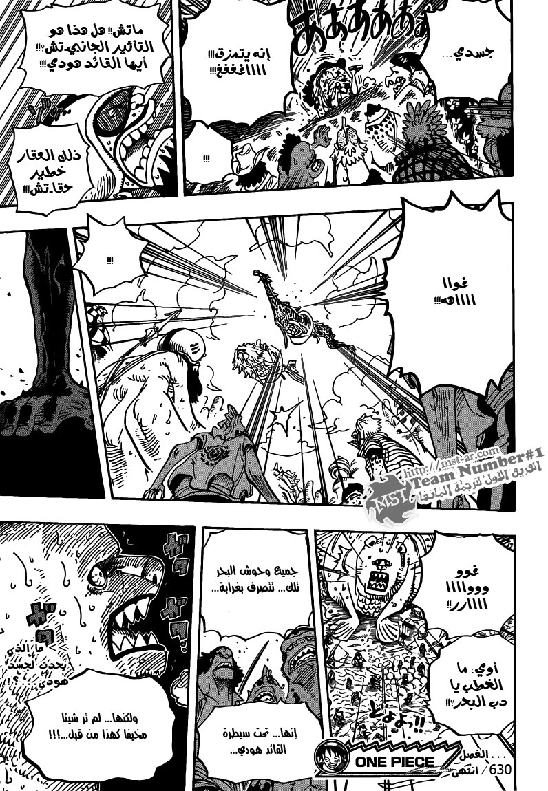 One Piece: Chapter 630 - Page 19