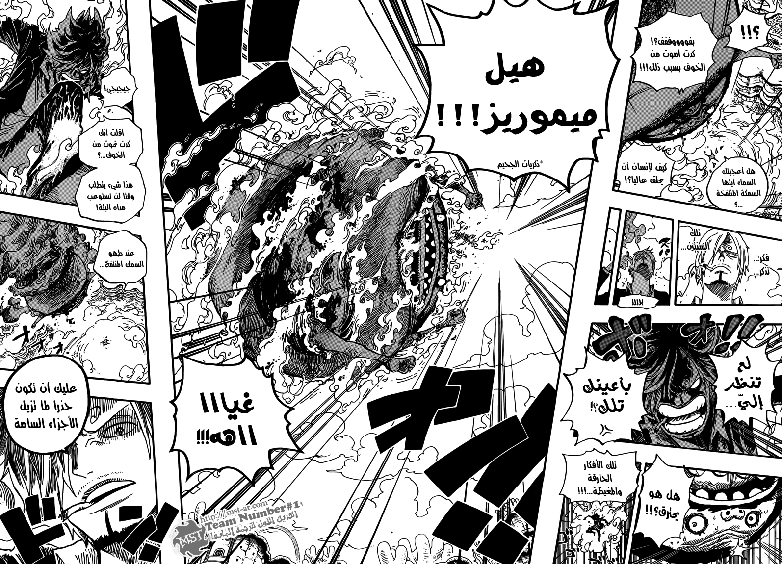 One Piece: Chapter 646 - Page 12