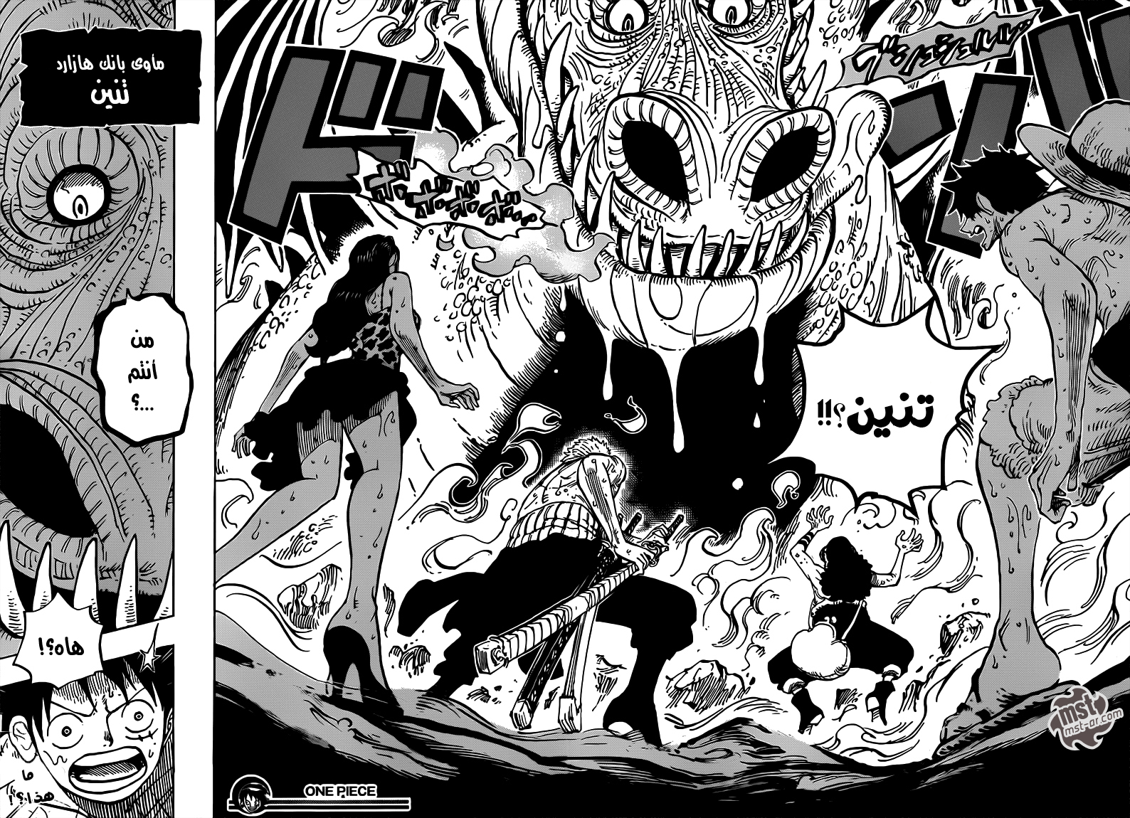 One Piece: Chapter 655 - Page 20