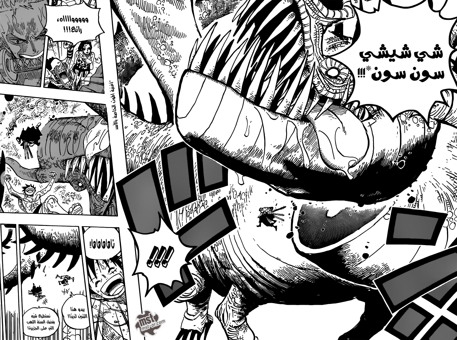 One Piece: Chapter 656 - Page 14