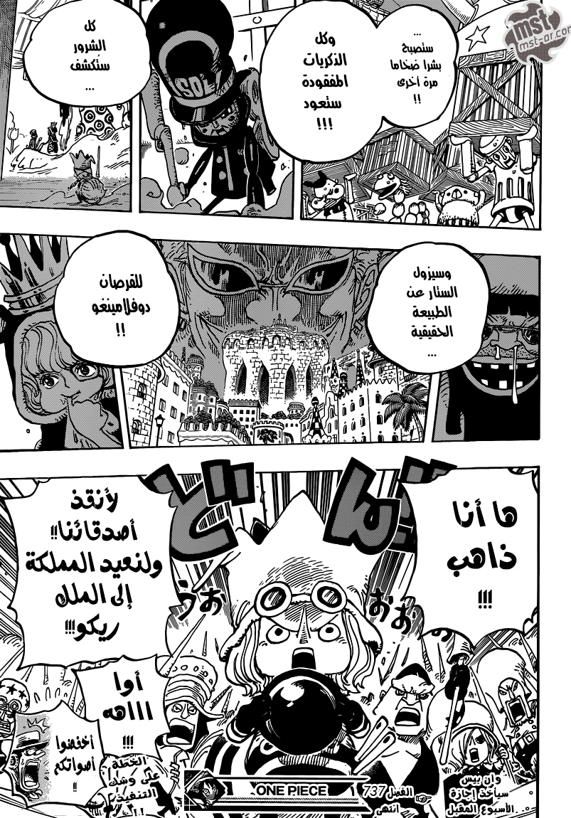 One Piece: Chapter 737 - Page 18