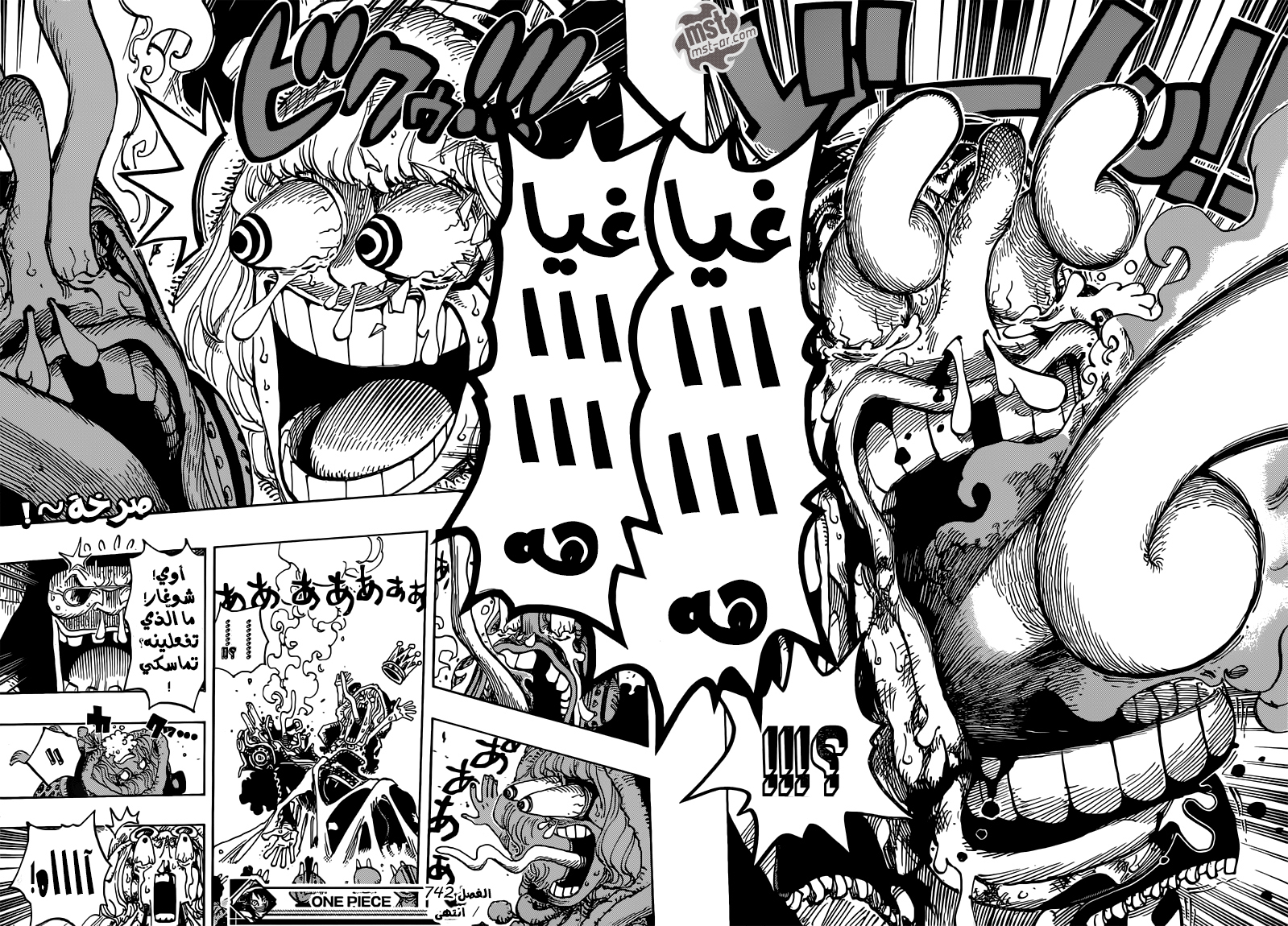 One Piece: Chapter 742 - Page 19