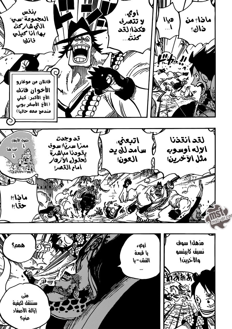 One Piece: Chapter 751 - Page 12