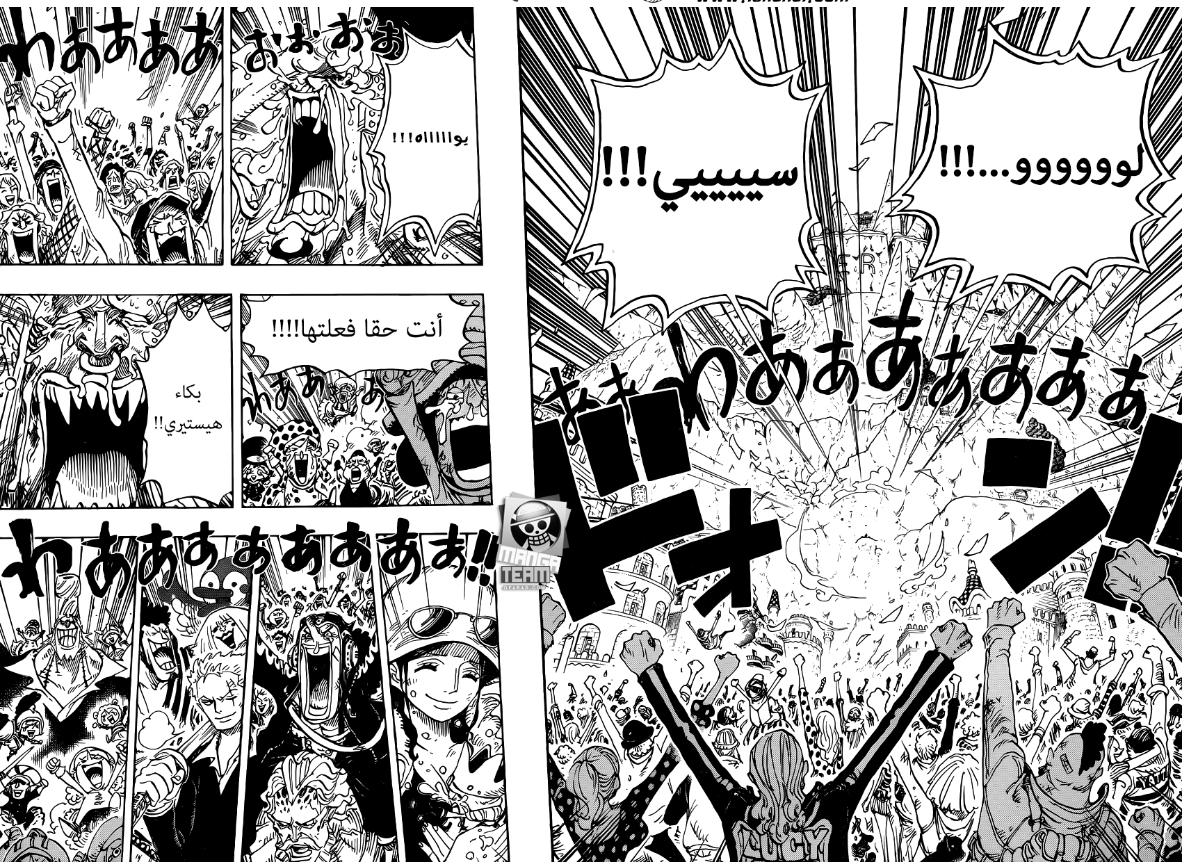 One Piece: Chapter 791 - Page 14