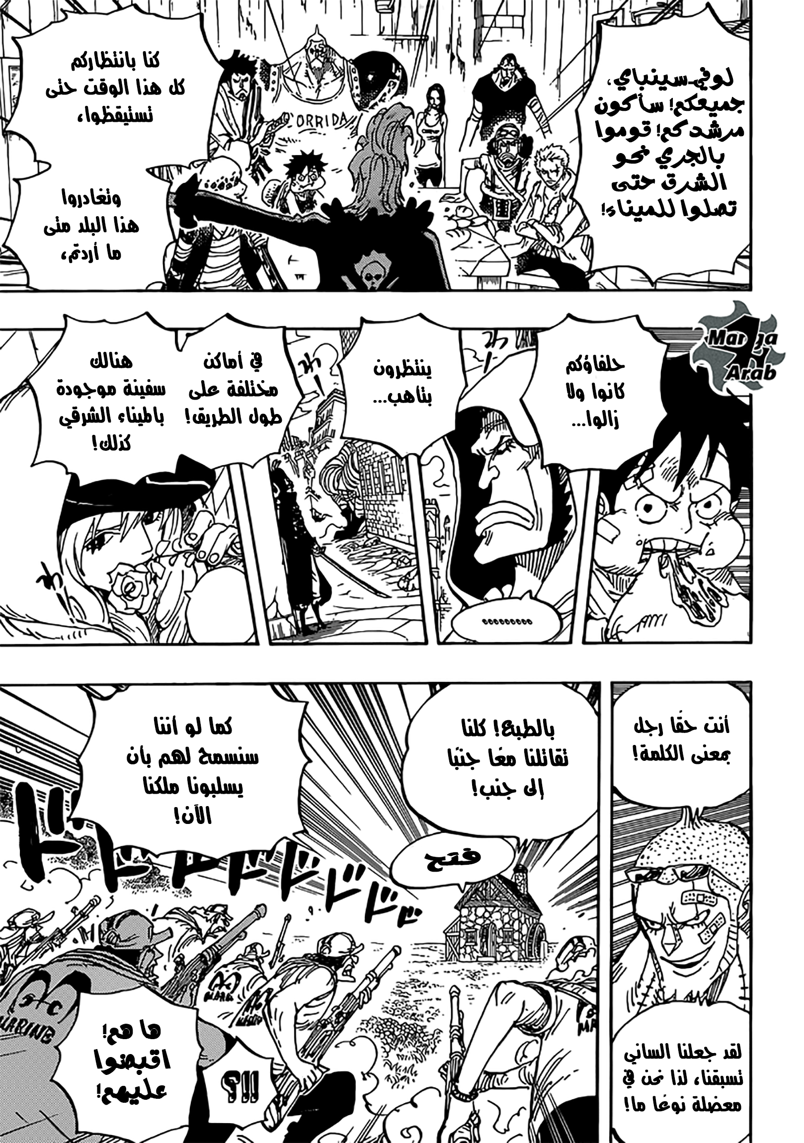 One Piece: Chapter 796 - Page 17