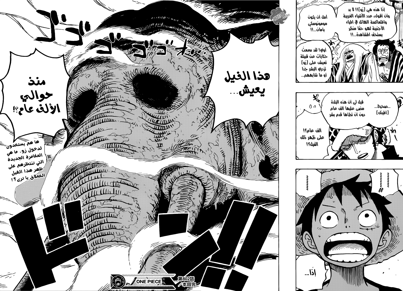One Piece: Chapter 802 - Page 15