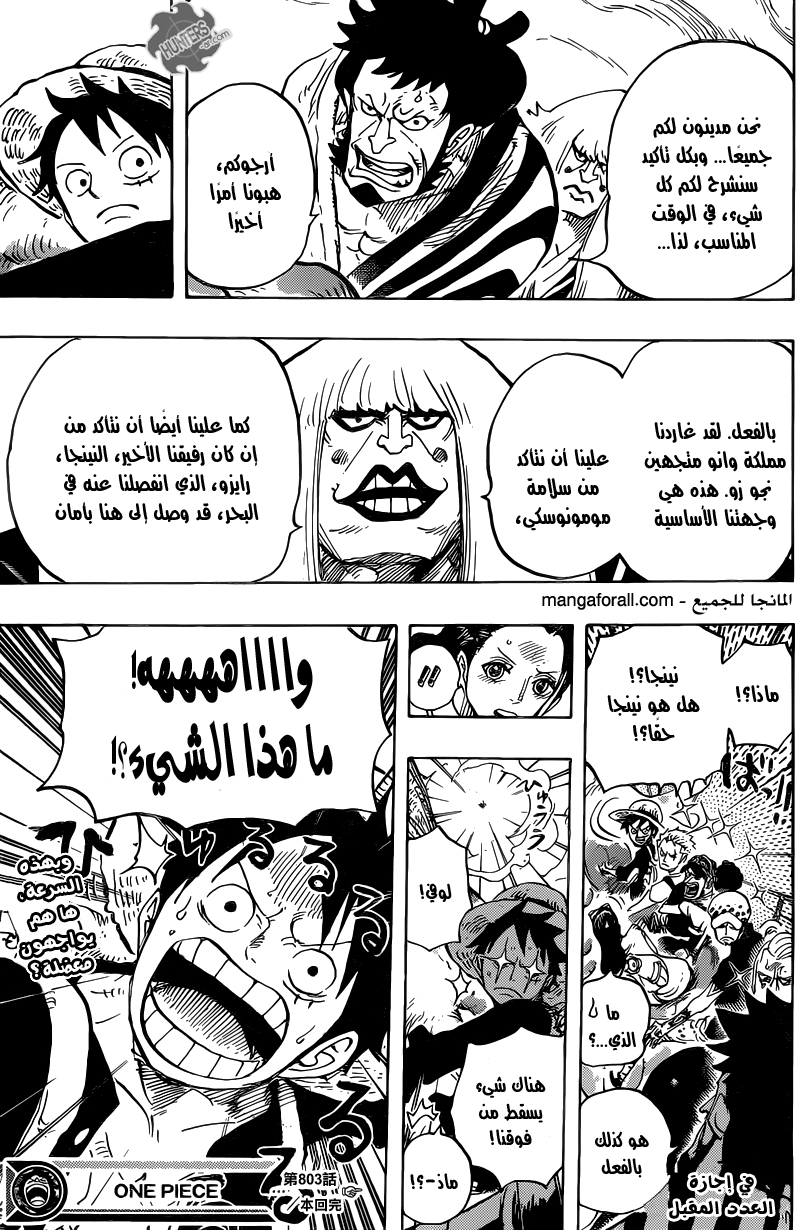 One Piece: Chapter 803 - Page 13