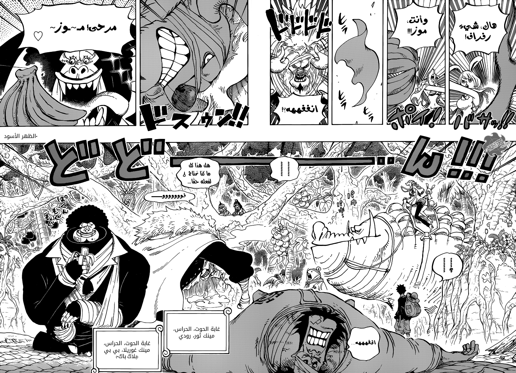 One Piece: Chapter 805 - Page 10