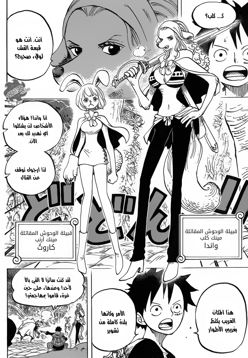 One Piece: Chapter 805 - Page 11