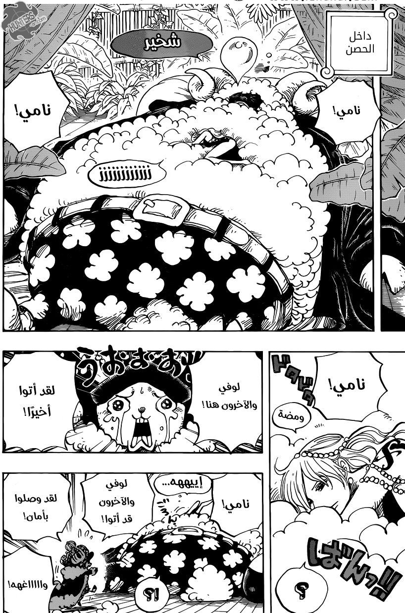 One Piece: Chapter 806 - Page 12