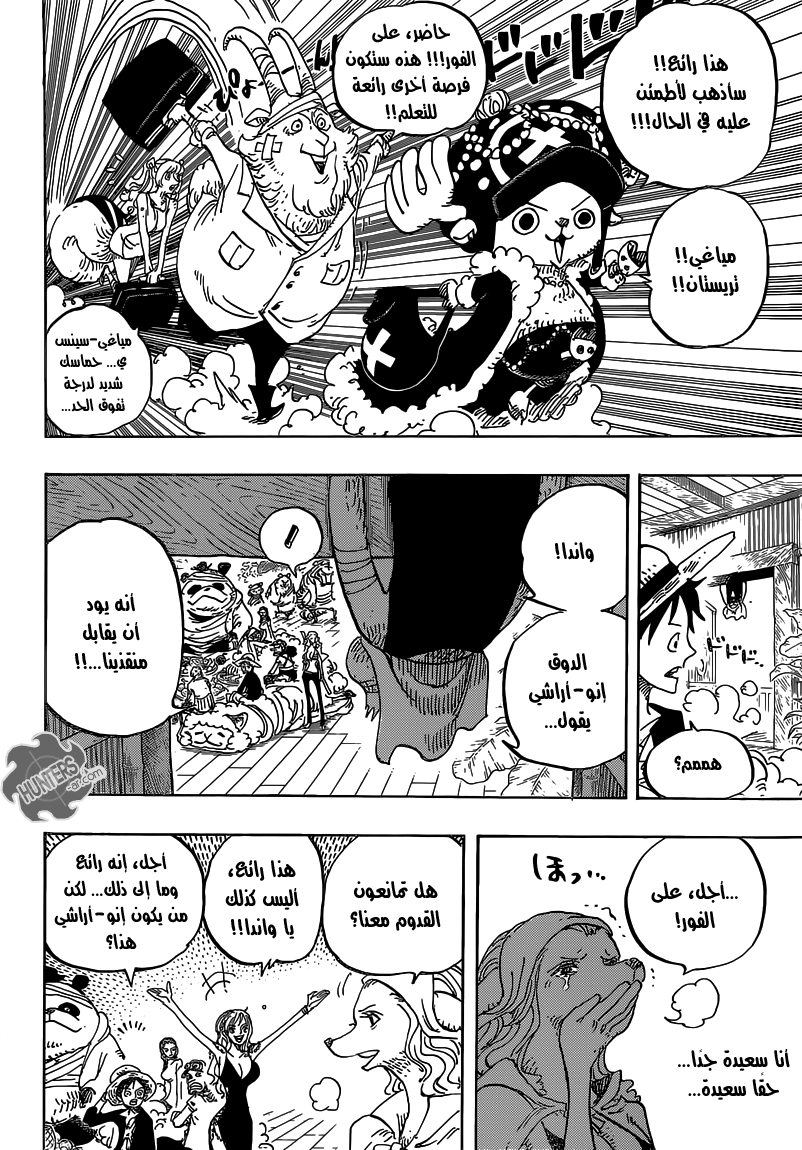 One Piece: Chapter 807 - Page 13
